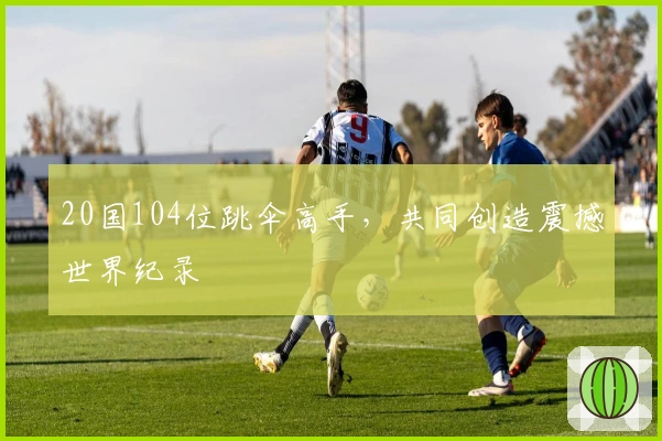 20国104位跳伞高手，共同创造震撼世界纪录